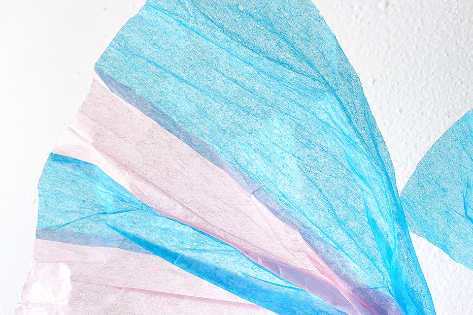 さかな紙ぐるみ